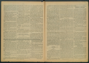 gazeta radomska-1885-24-00002